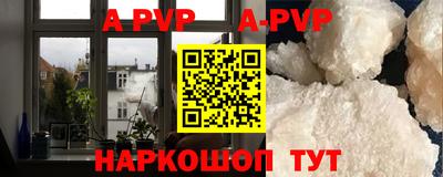 дмт Тара