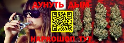 дмт Тара