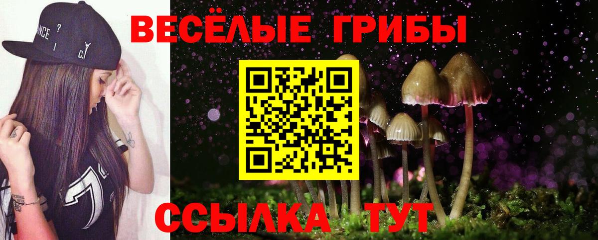 где купить   Псилоцибиновые грибы мухоморы  Вход с VPN  Борисоглебск 